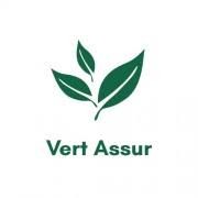 VERT ASSURE, franchise courtage assurance